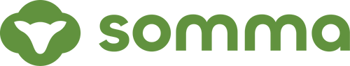 BoneX